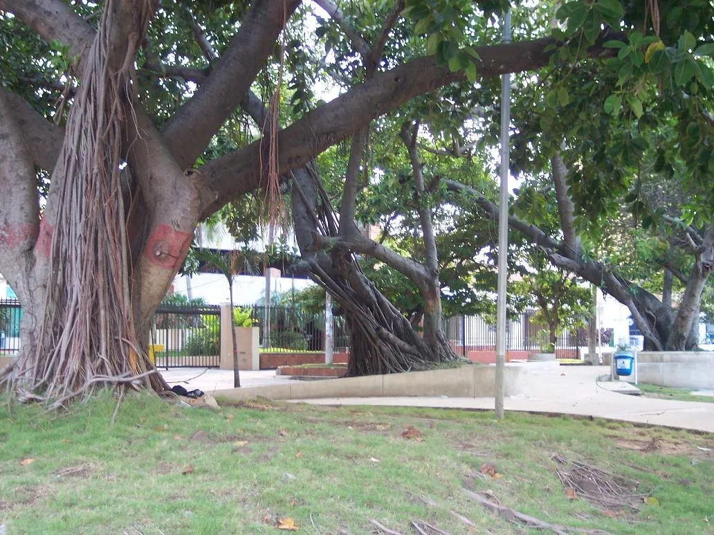 General Santander, Barranquilla