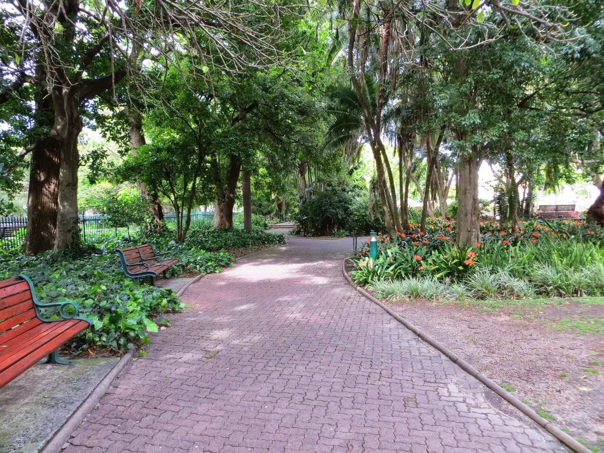 Company's Garden, Cape Town