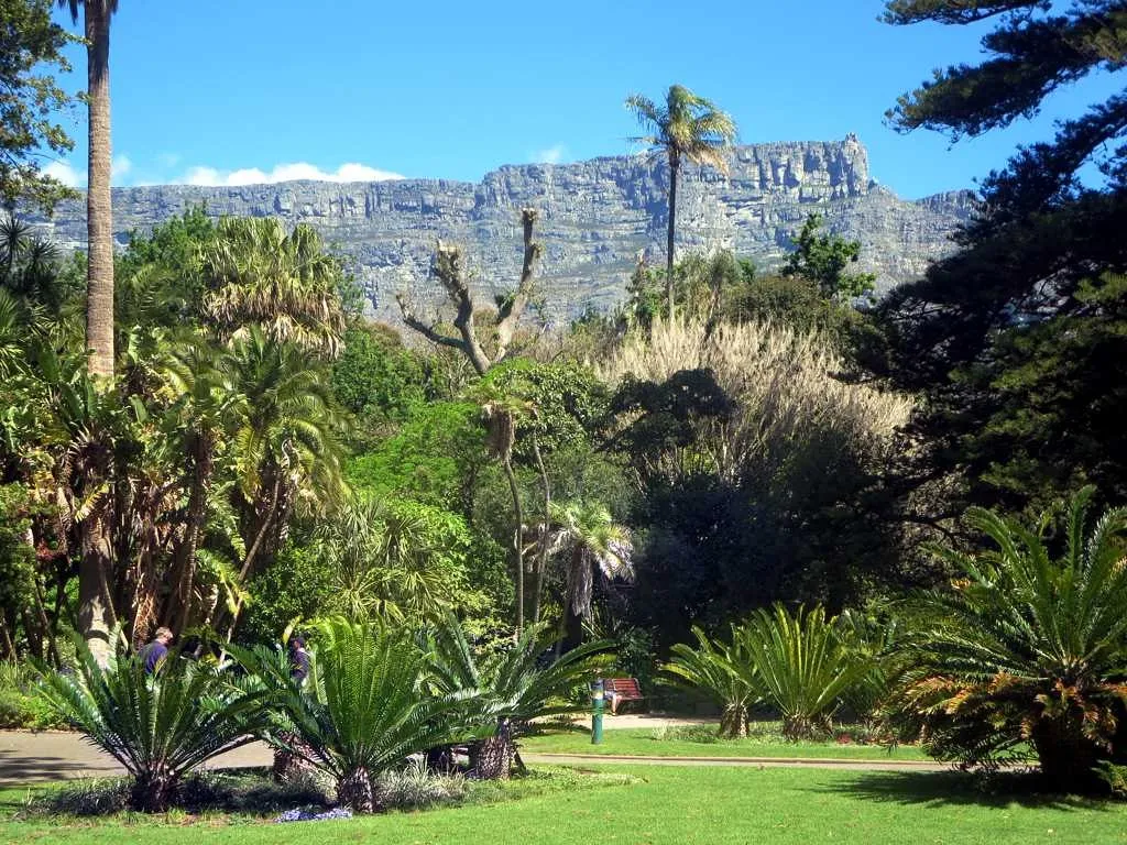 Company's Garden, Cape Town