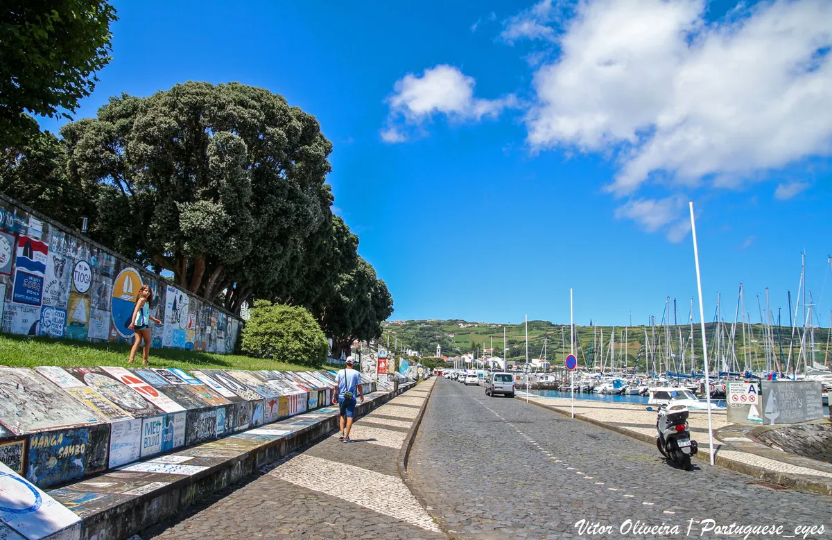 Infante Dom Henrique, Horta