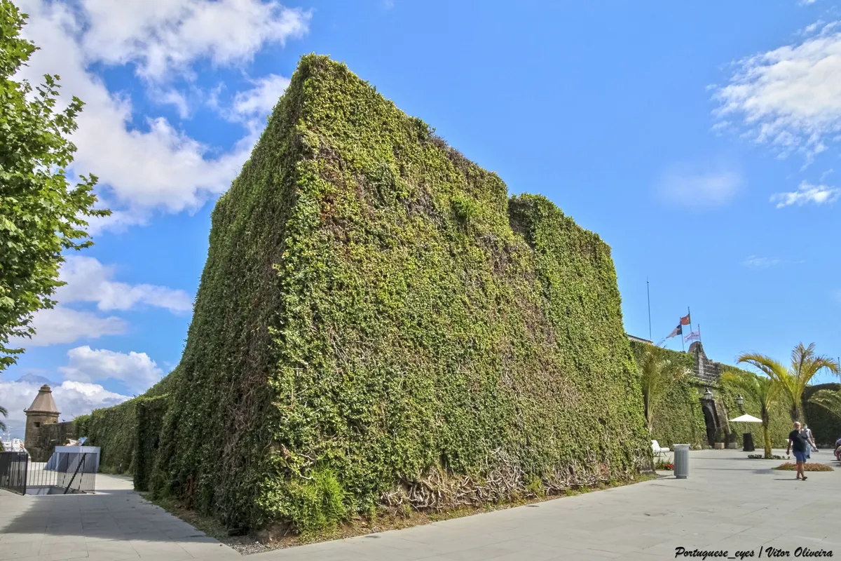 Infante Dom Henrique, Horta
