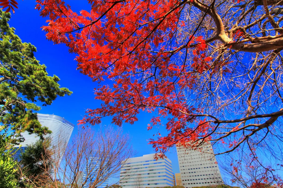 Tokyo - one of the places your quest passes through