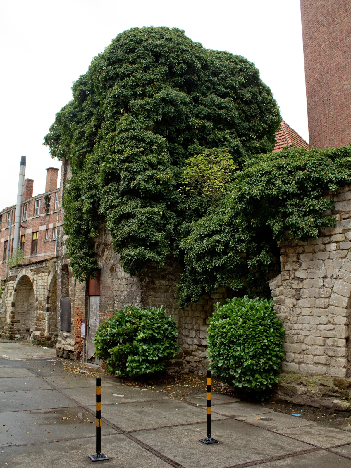Leuven: one of the places this quest takes you.
