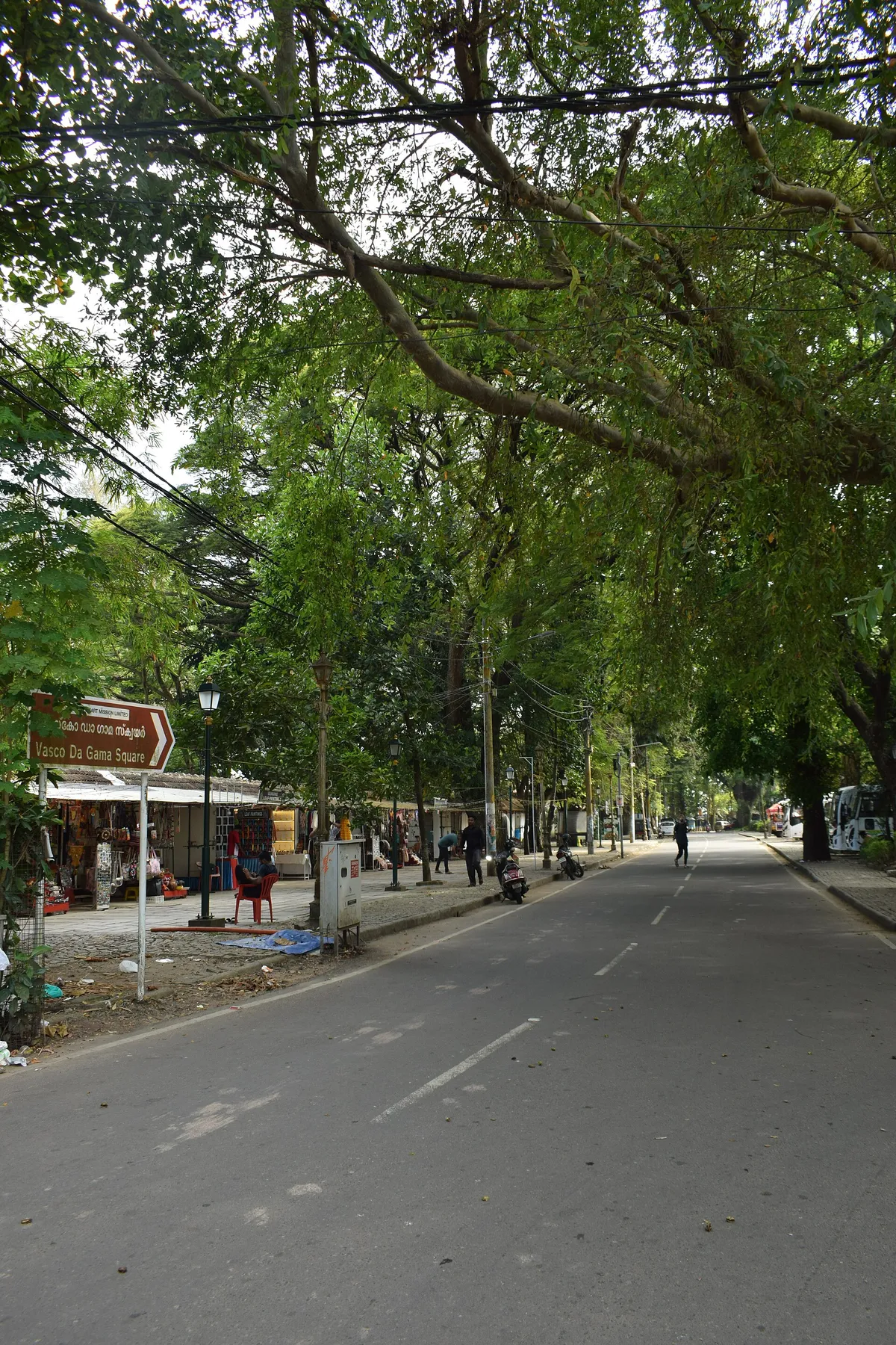 Kochi: one of the places this quest takes you.