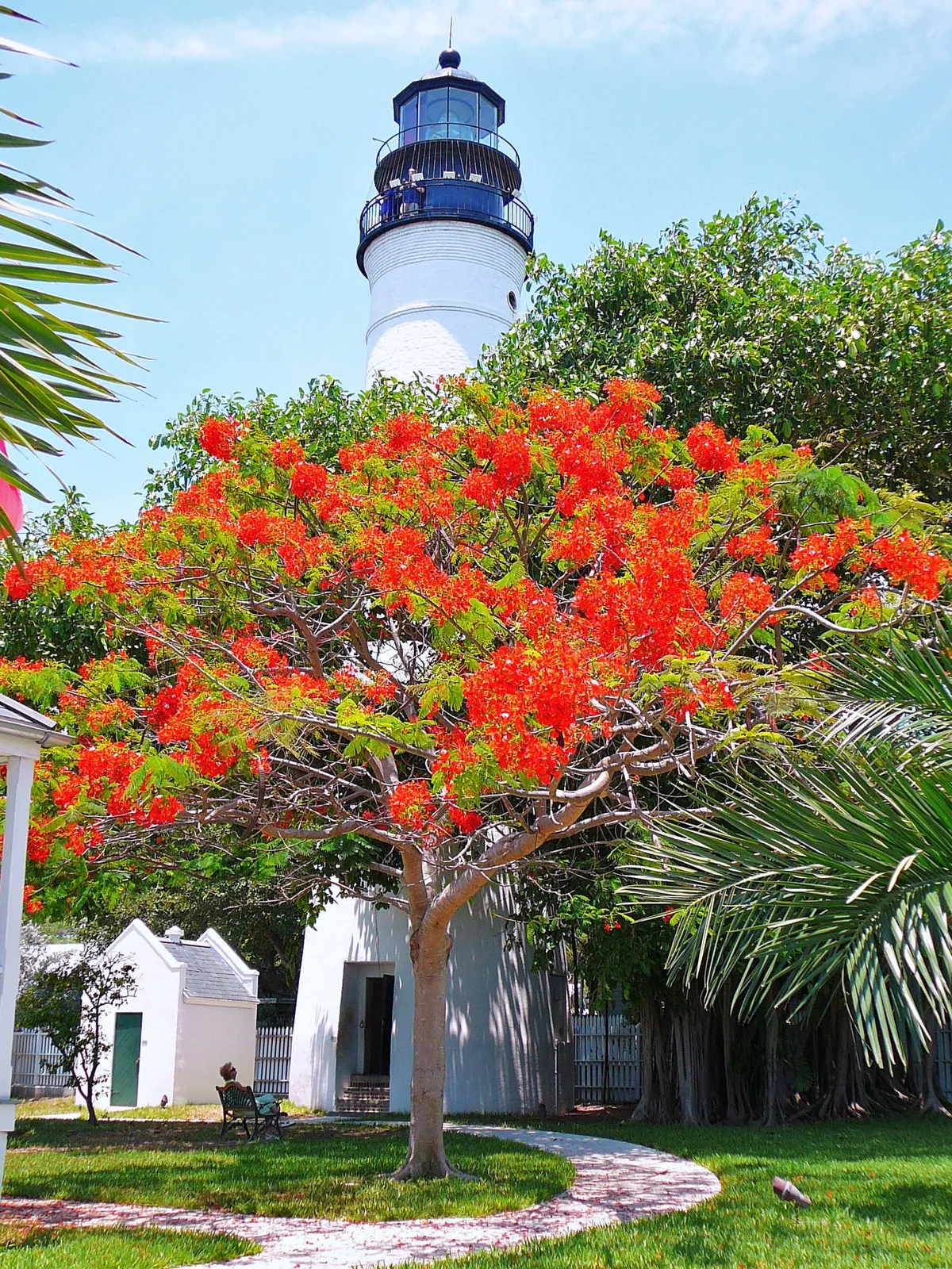 Key West: one of the places this quest takes you.