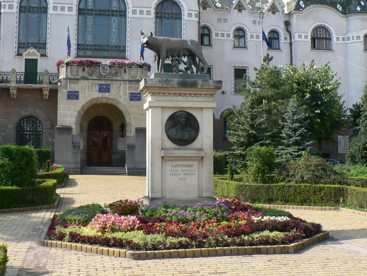 Lupoaica, Targu Mures: where your mission begins.