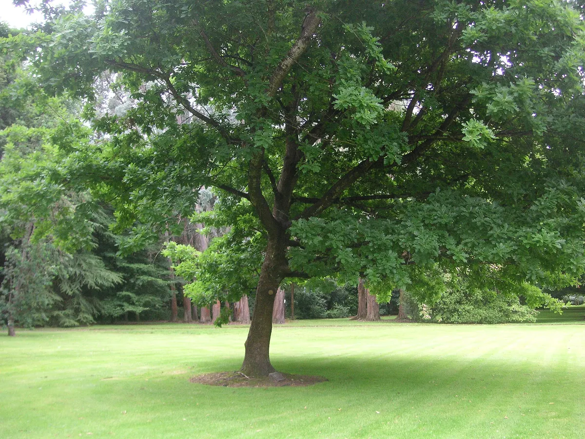A view in Invercargill, where this quest is played