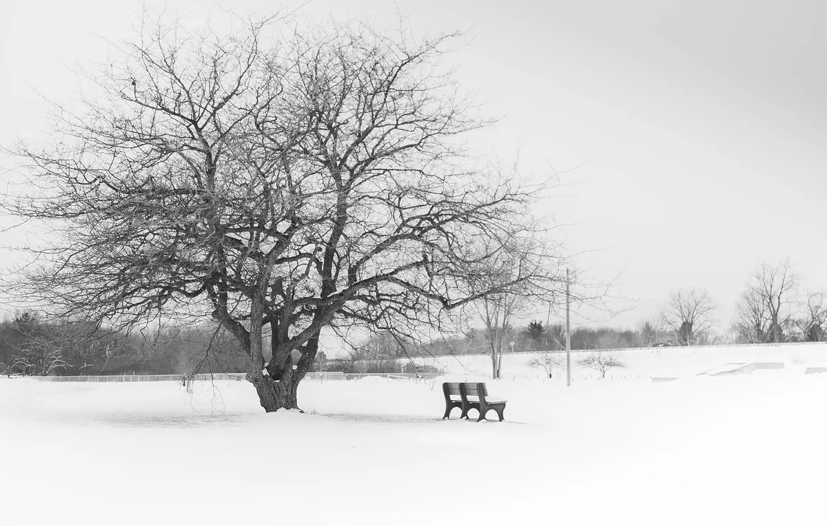 A view in Midland, where this quest is played