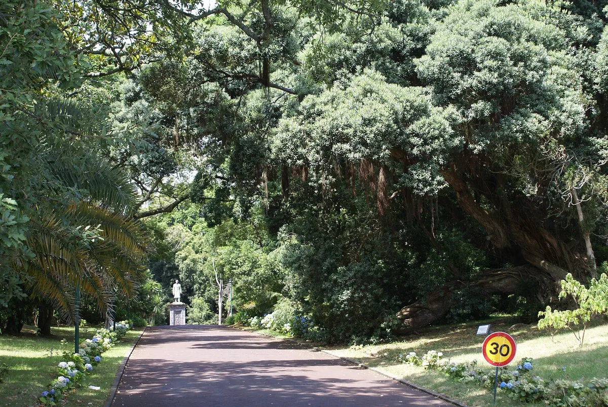 A view in Ponta Delgada, where this quest is played