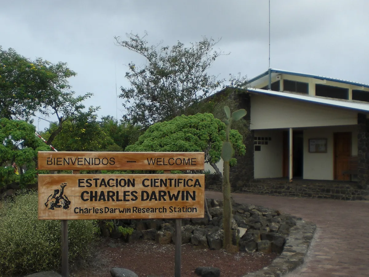 A view in Puerto Ayora (Galápagos), where this quest is played