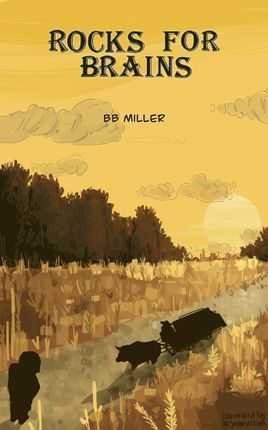 Book: Rocks for Brains