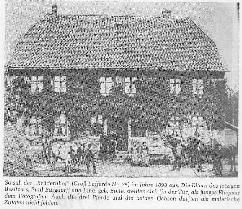 This is what the „Brüdernhof“ (Groß Lafferde No. 38) looked like in 1898. The parents of the current owner, Emil Burgdorff and Lina, née Bolte, posed for the photographer (in the doorway) as a young married couple. The three horses and the two oxen were also included as picturesque ingredients.