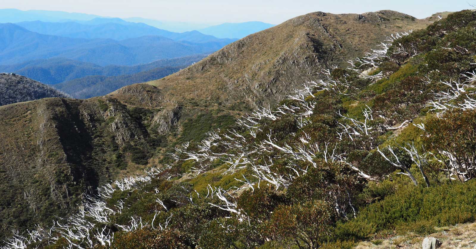 Mt Feathertop via Bungalow Spur