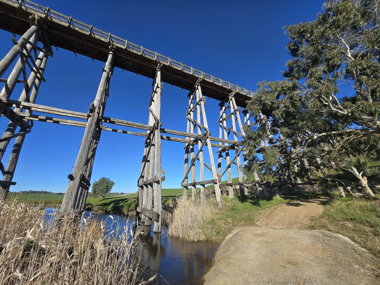 Nimmons Bridge, Newtown