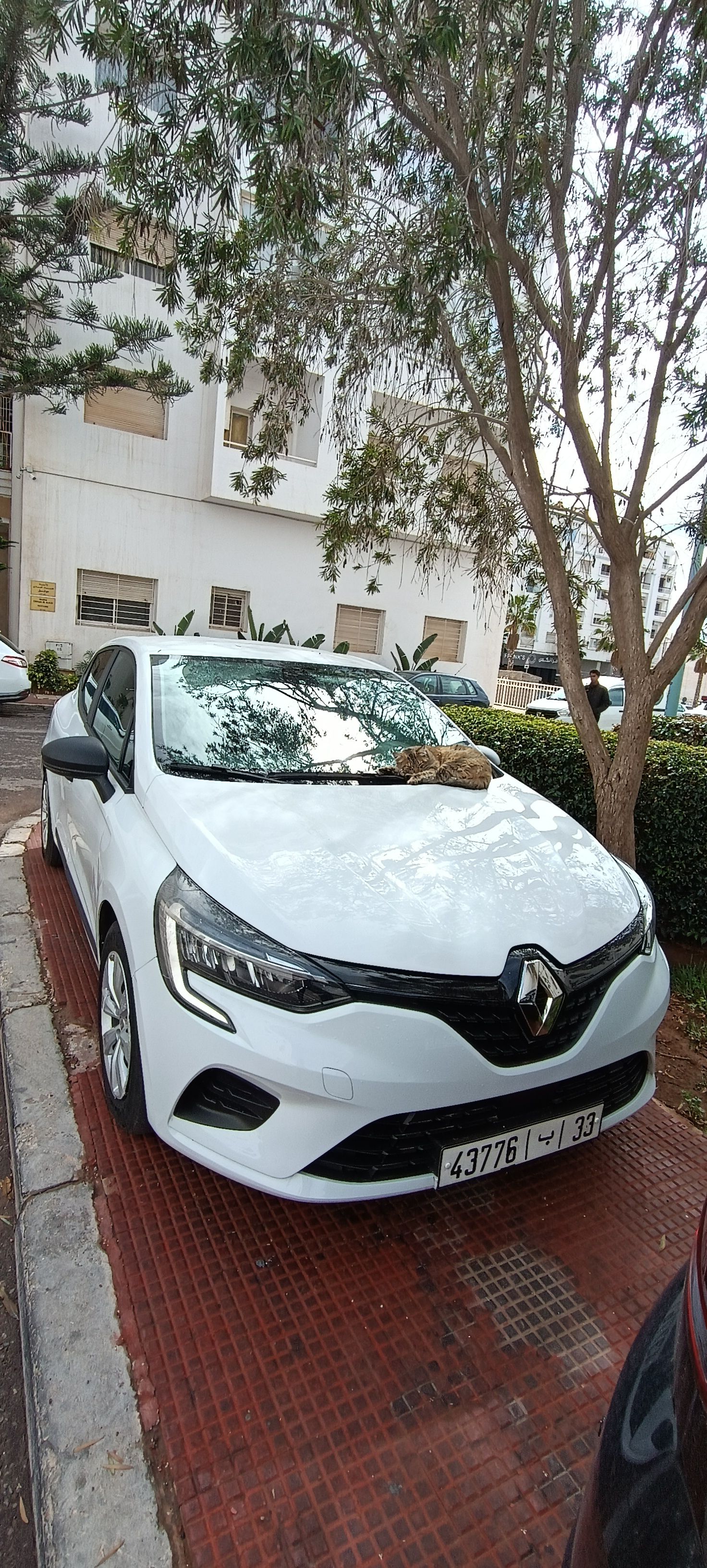 location voiture maroc Renault Blanche 