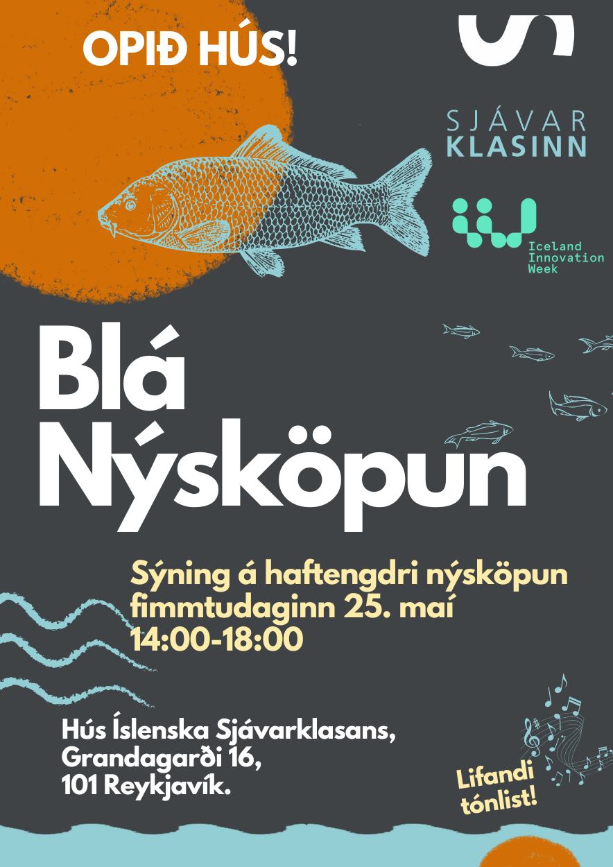 Blá Nýsköpun í Íslenska Sjávarklasanum
