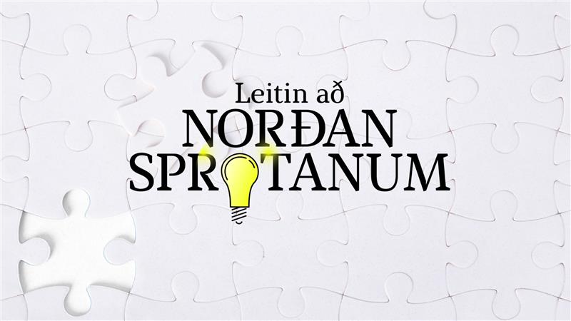 Leitin að Norðansprotanum
