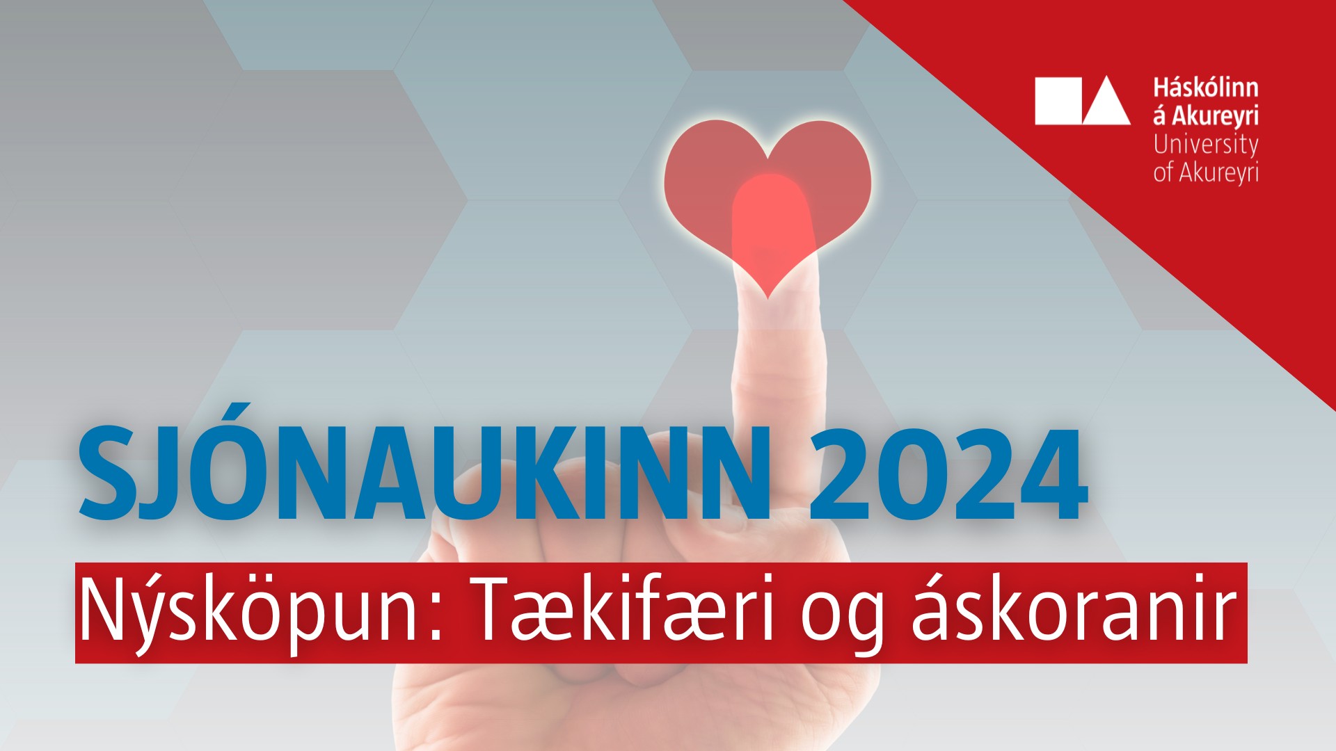 Sjónaukinn 2024 — Nýsköpun: tækifæri og áskoranir