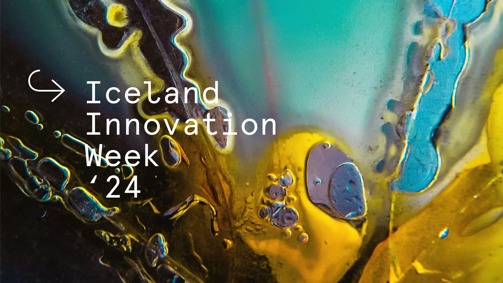 Iceland Innovation Week 2024