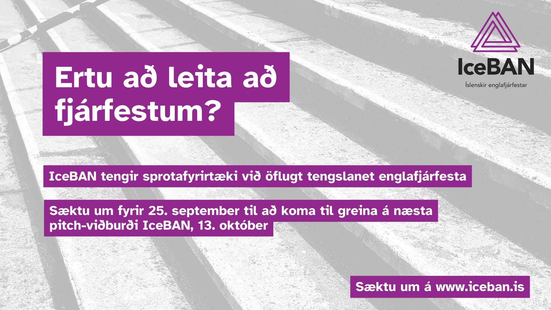 Ertu að leita að fjárfestum?