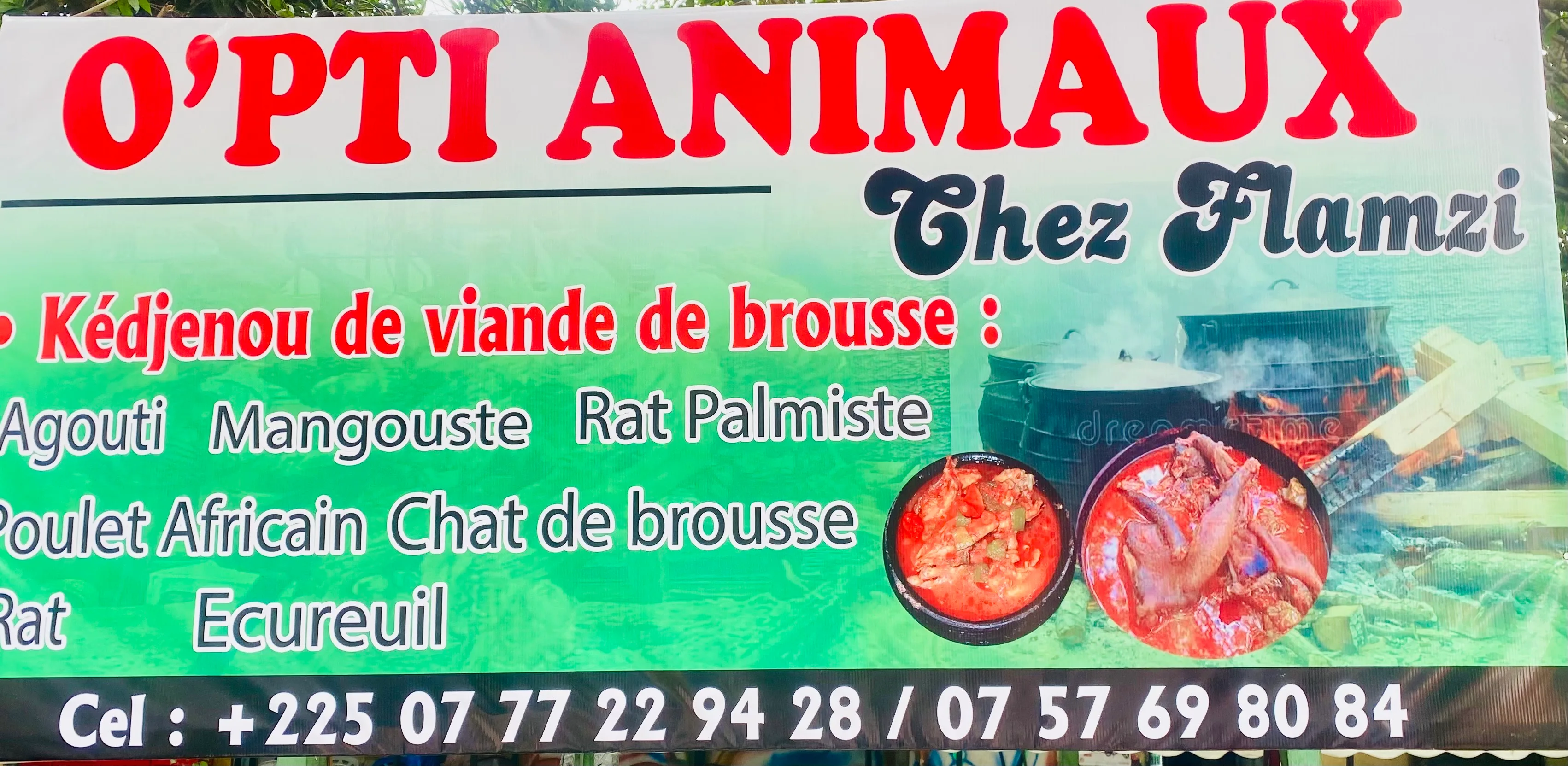 o’PTI ANIMAUX À YOPOUGON SAPEUSES-POMPIÈRES