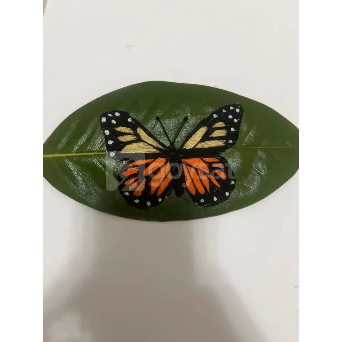 Işıklı Ev Dekoru - Ev & Yaşam Satılık - Görsel 2 | Goysat