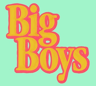 The Boys quiz cover