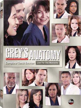 Season 10 quiz cover