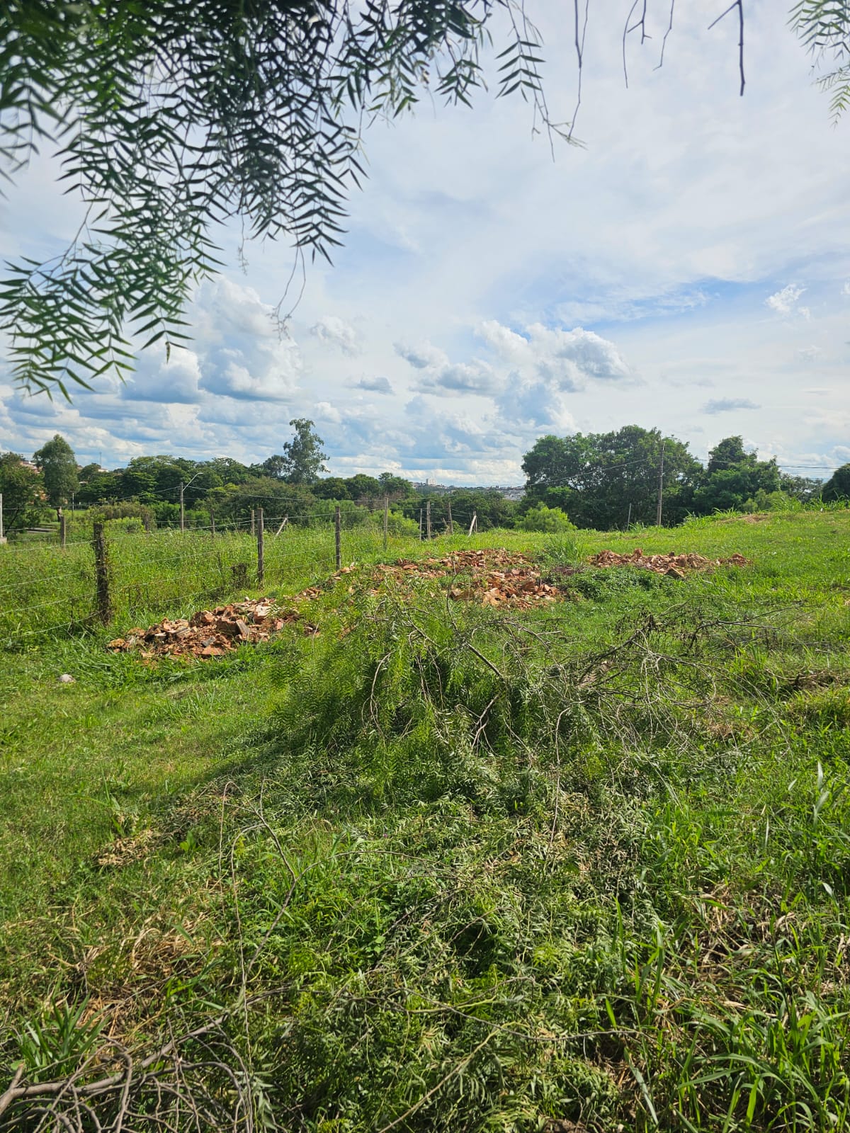 TERRENO À VENDA – BAIRRO CAMBUY - Foto 2