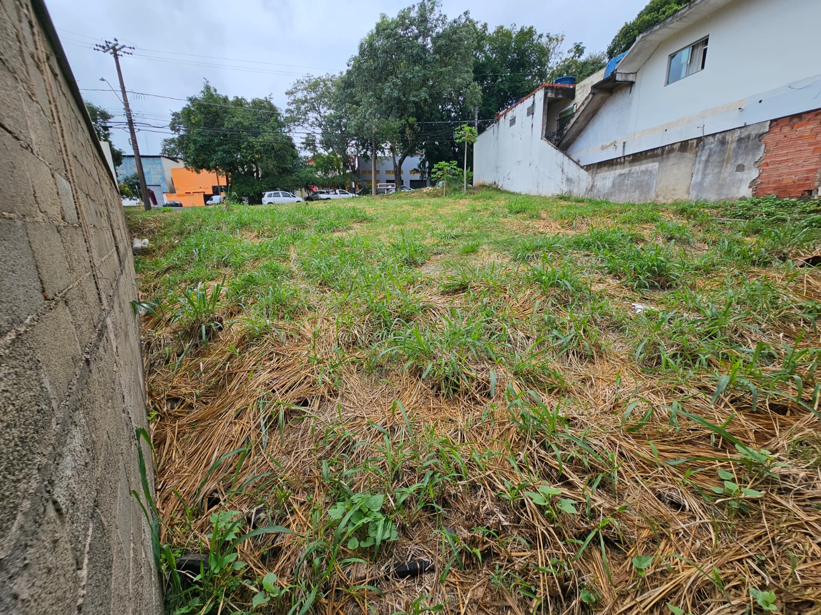 Terreno SANTA ROSA - Foto 4