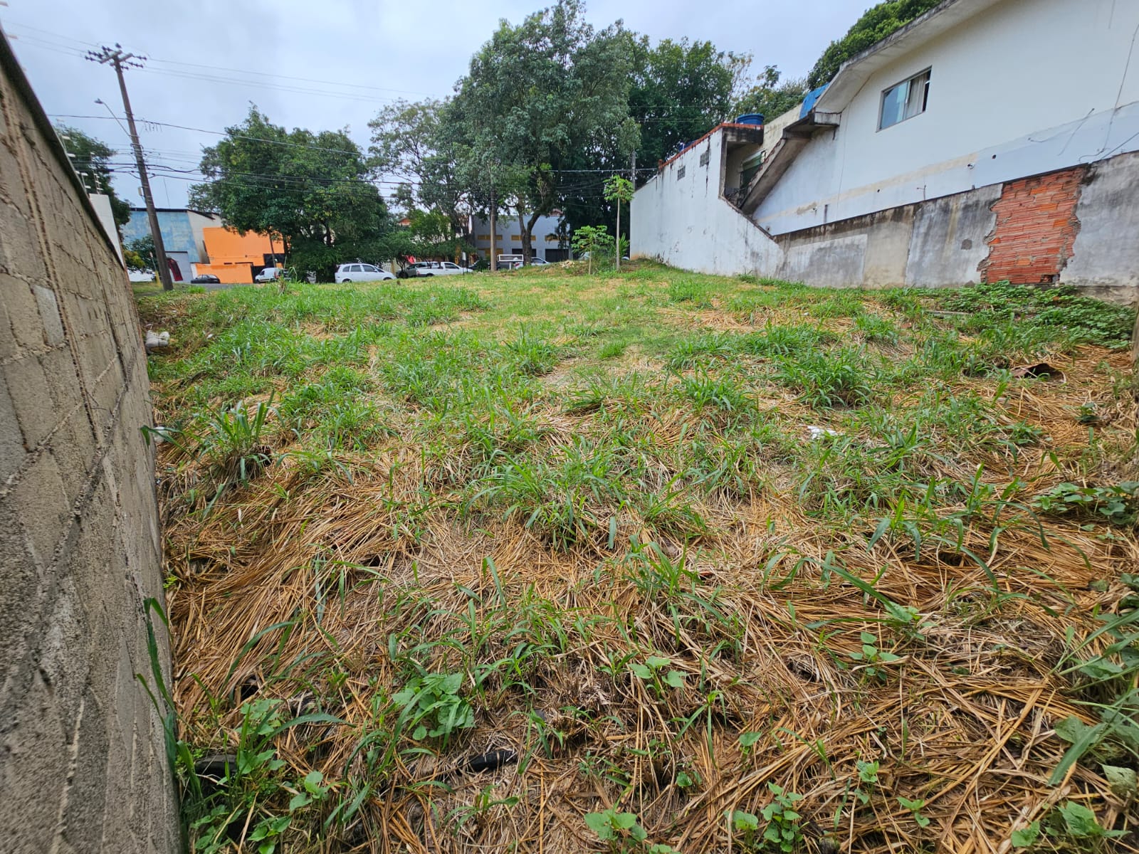 Terreno SANTA ROSA - Foto 5