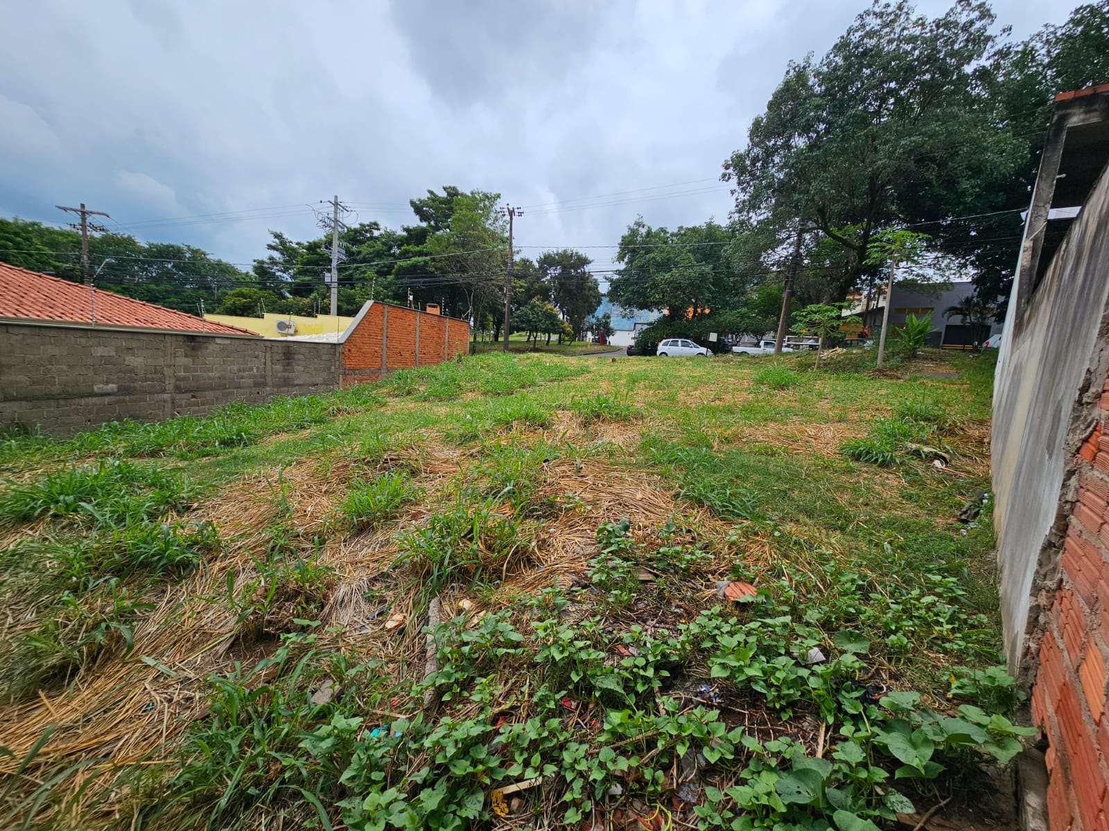 Terreno SANTA ROSA - Foto 7