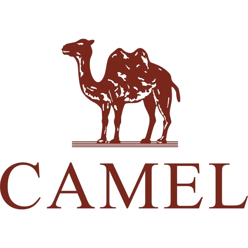Camel Men's Leather Sandals with Back Strap photo 6