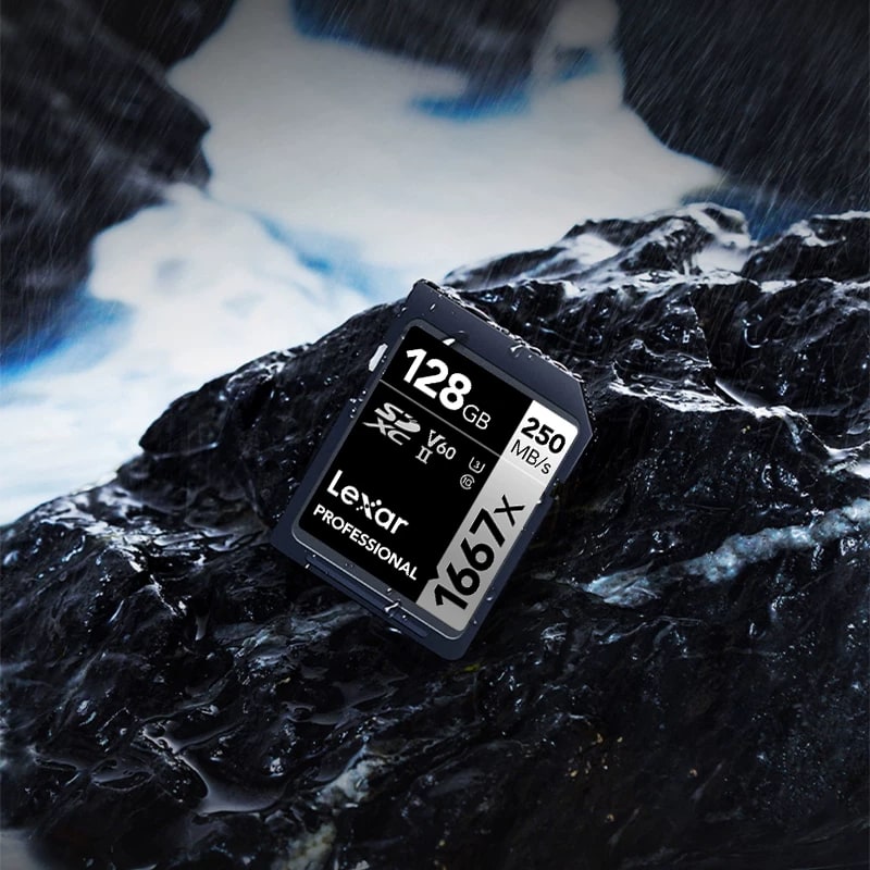 Lexar Professional SD Memory Card for Cameras photo 2