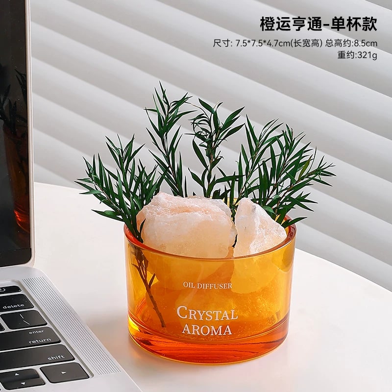 Flameless Reed Diffuser Cup with Dried Flowers photo 3