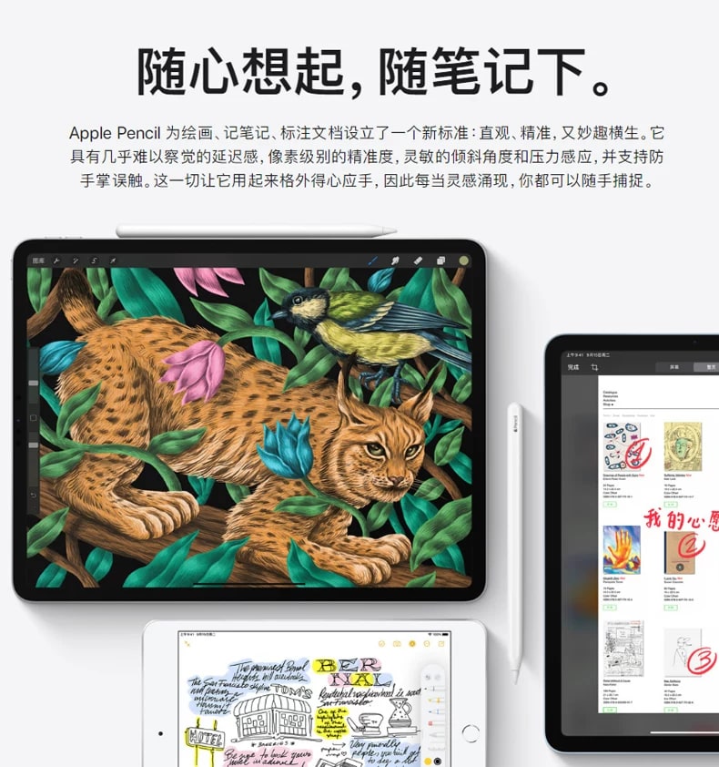 Apple Pencil (2nd Generation) Stylus photo 6