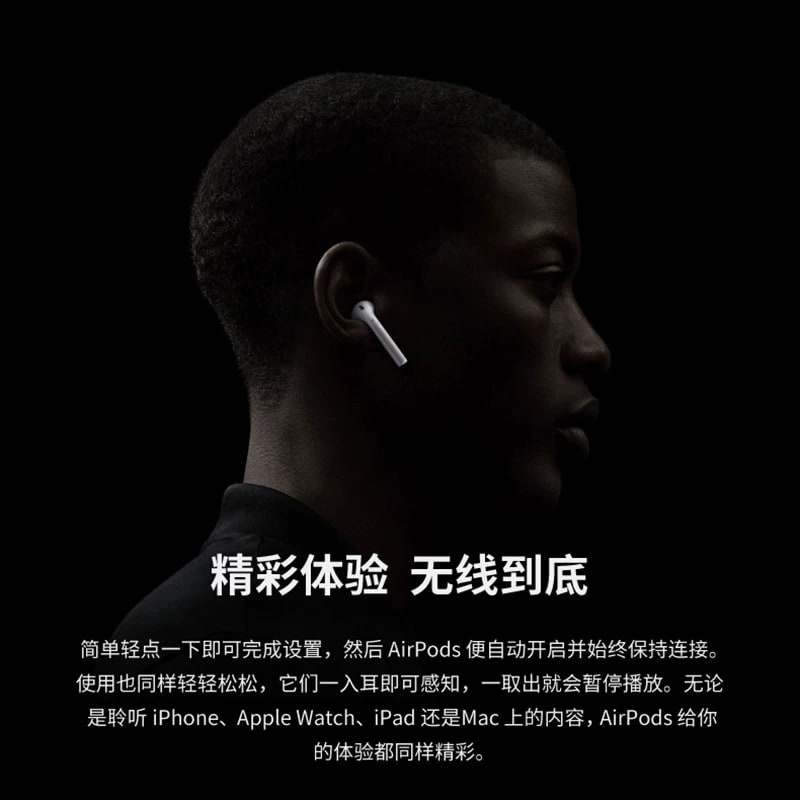 Apple AirPods (2nd Generation) with Charging Case photo 5