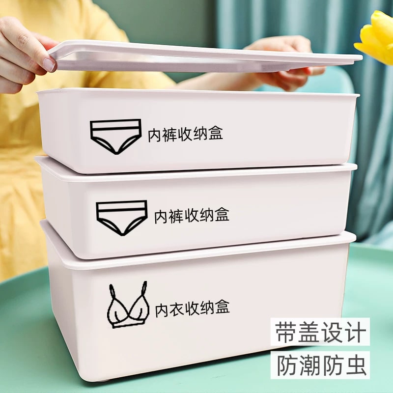 Divided Drawer Boxes for Socks and Underwear photo 6