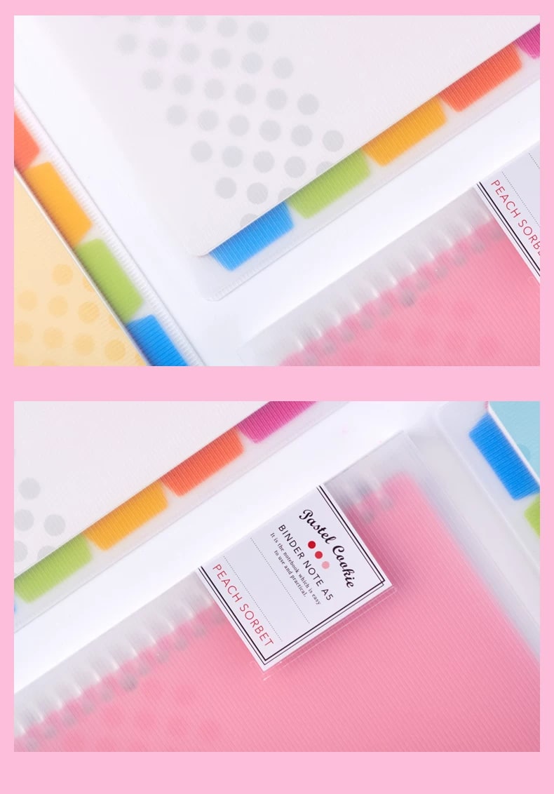 KOKUYO Removable-Ring Loose-Leaf Notebook A4, B5 and A5 photo 2