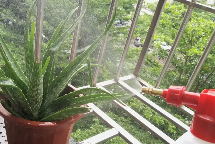 Garden Pressure Spray Bottle with Brass Nozzles photo 4