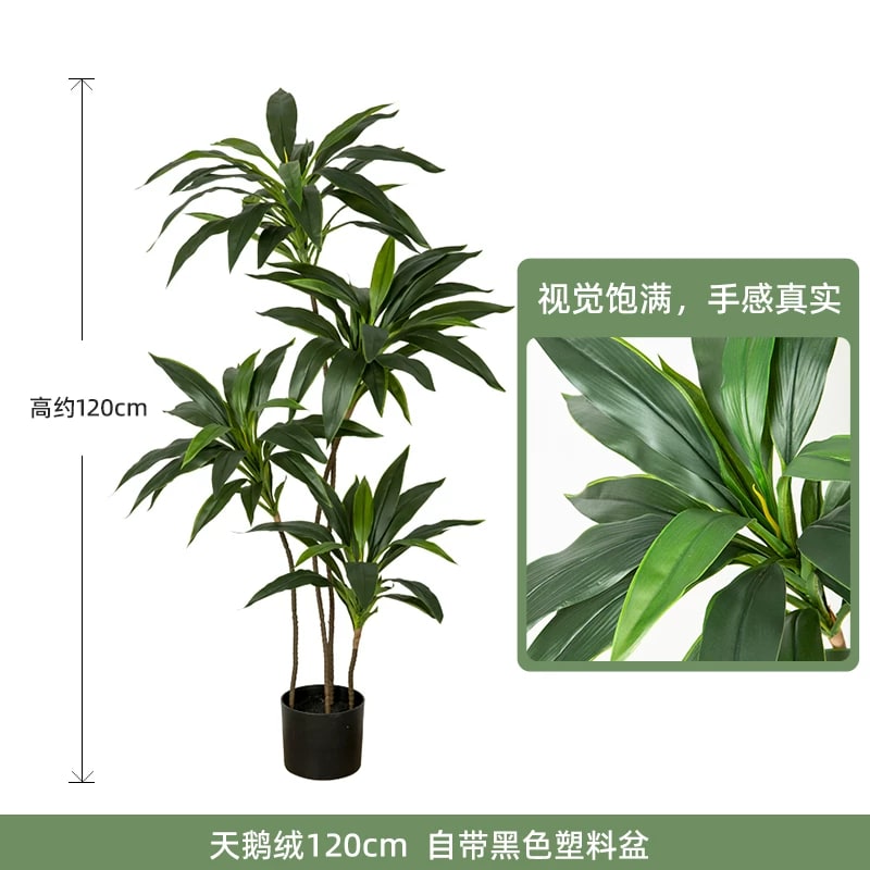 Artificial Velvet Leaf Floor Plant, 90cm to 180cm photo 6