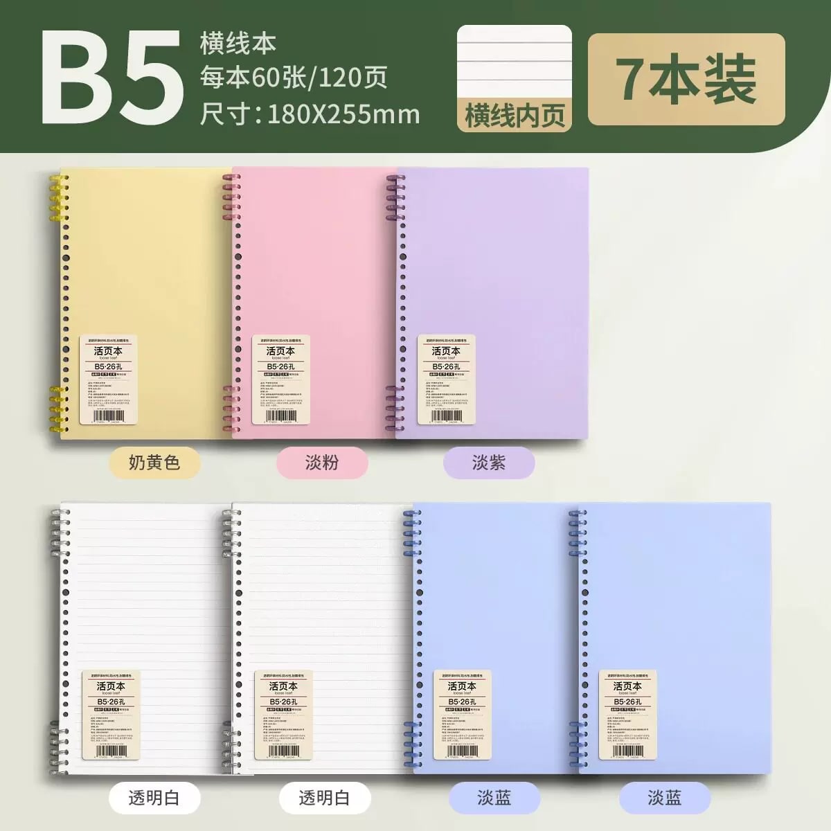 B5 and A5 Loose-Leaf Ring-Bound Notebooks Multipack photo 5