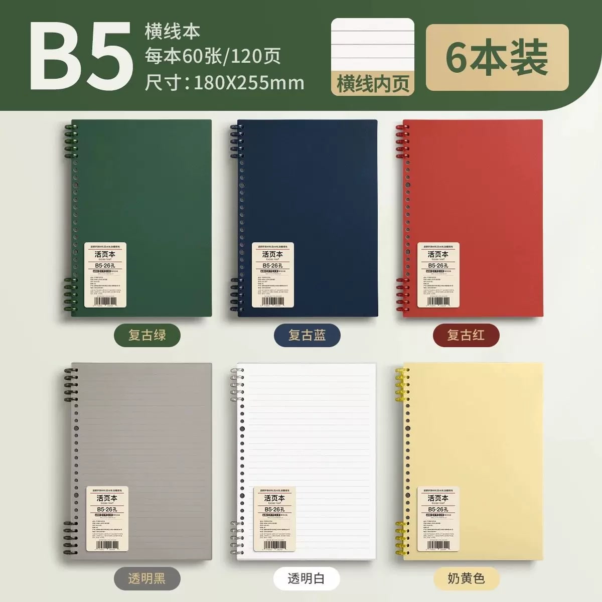 B5 and A5 Loose-Leaf Ring-Bound Notebooks Multipack photo 6