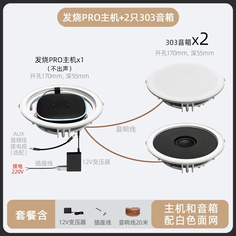 Ceiling Speaker System with Voice Control and Amplifier photo 3