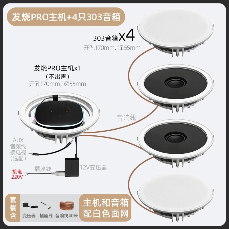 Ceiling Speaker System with Voice Control and Amplifier photo 5