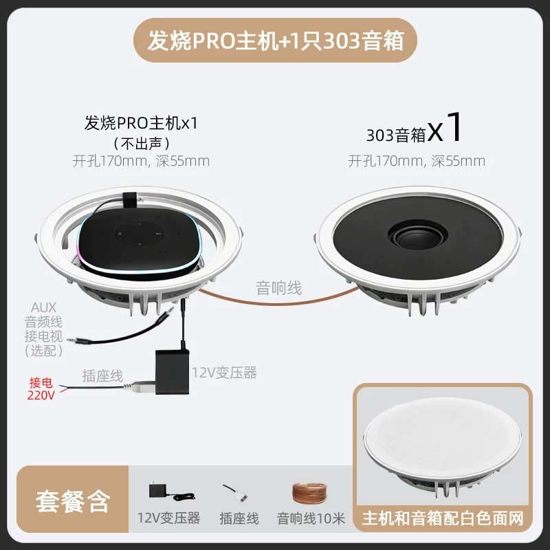 Ceiling Speaker System with Voice Control and Amplifier photo 2