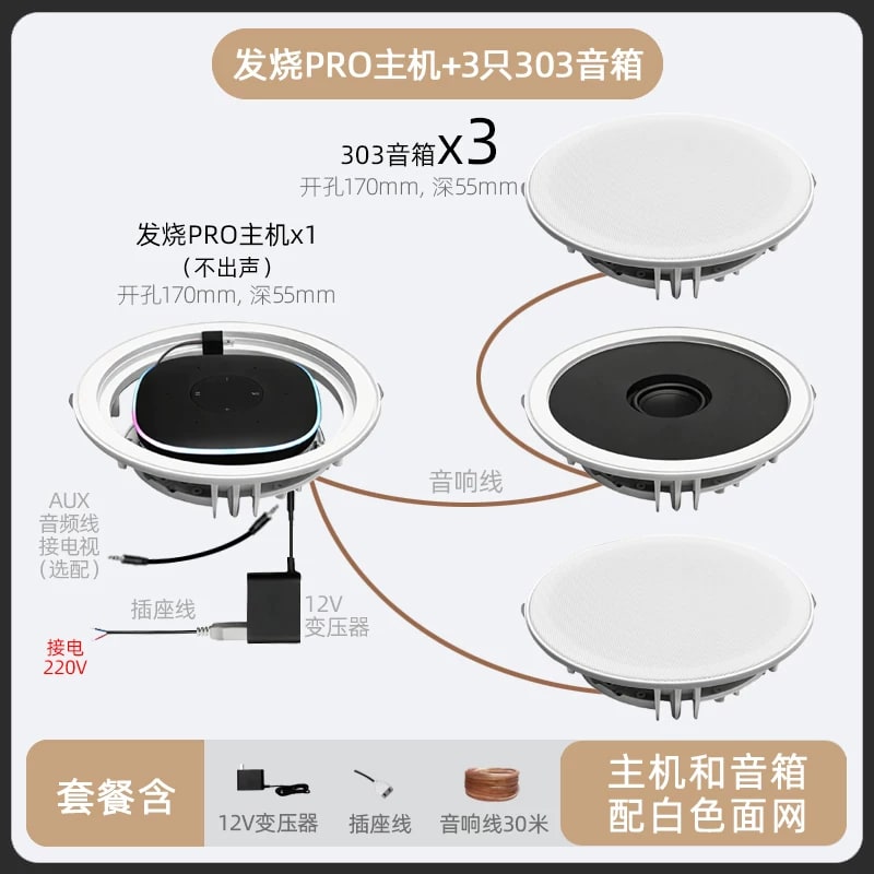 Ceiling Speaker System with Voice Control and Amplifier photo 4