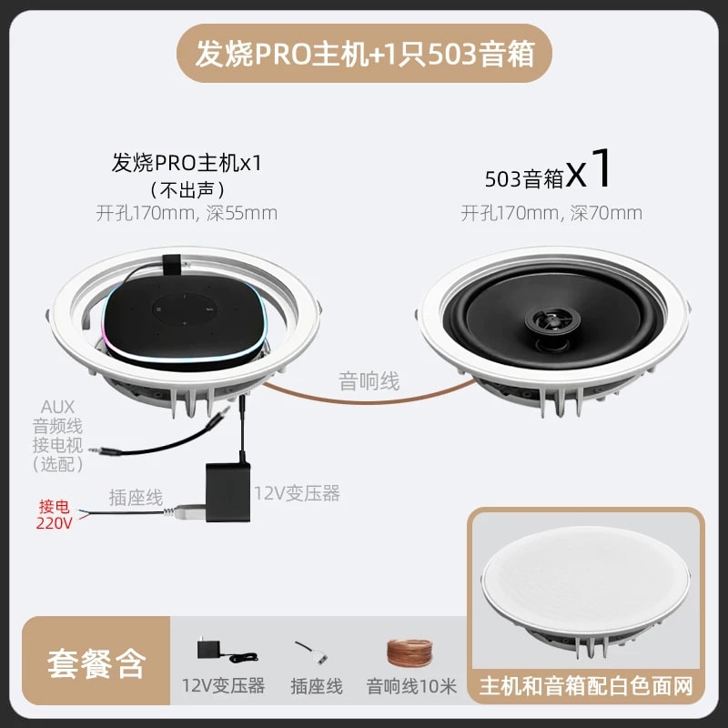 Ceiling Speaker System with Voice Control and Amplifier photo 6