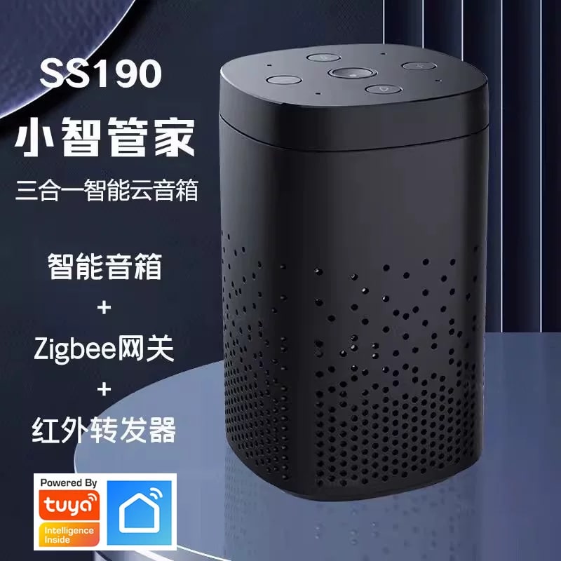 Tuya Smart Speaker with Zigbee Gateway and IR Remote photo 3
