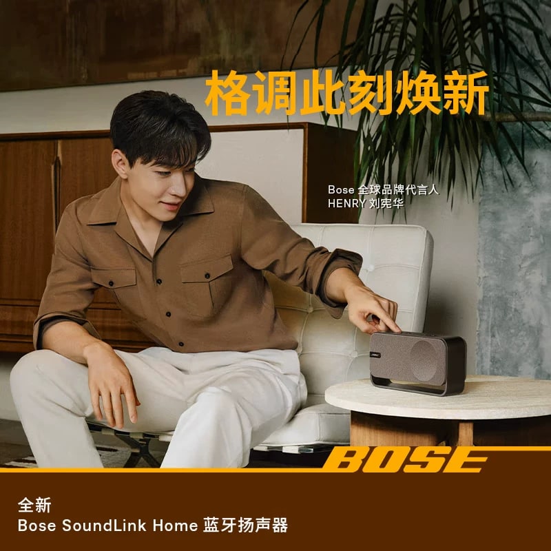 Bose SoundLink Home Bluetooth Speaker photo 4
